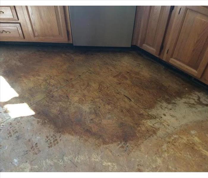 Stain on wooden floor where mold used to be
