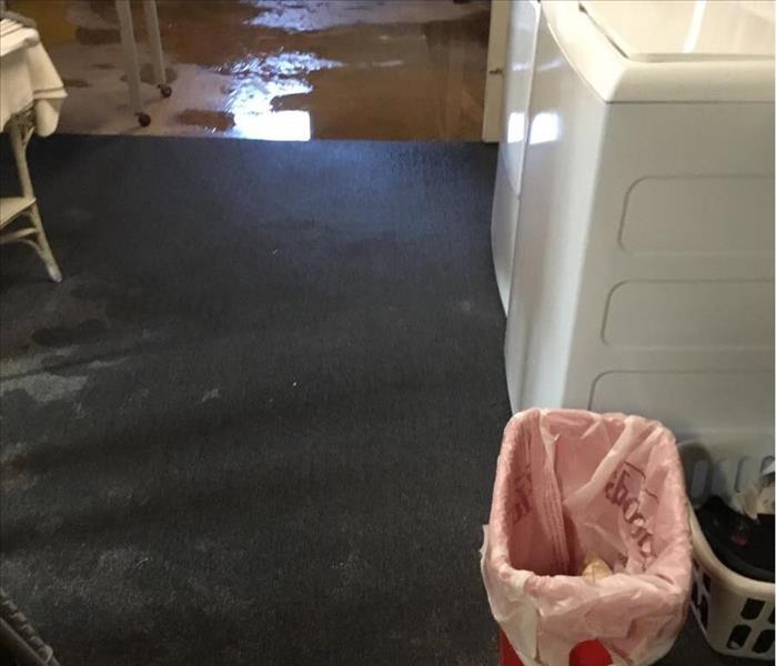 Puddle of water on wet carpet and concrete flooring in a basement
