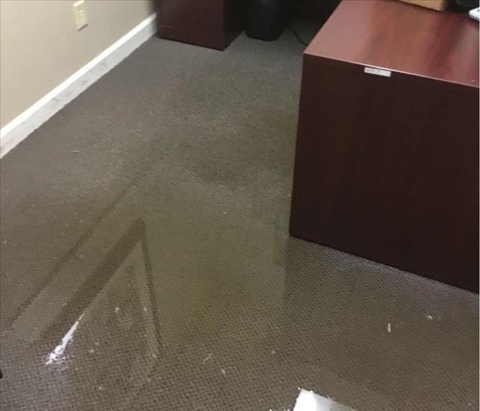 Puddle of water on gray carpet in an office